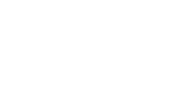 에볼루션 게이밍 logo